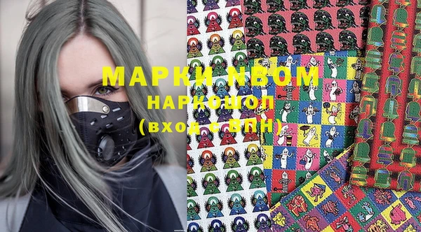 дживик Инта