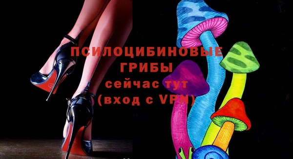 гидропоника Иннополис