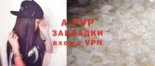 дживик Инта