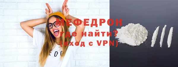 дживик Инта