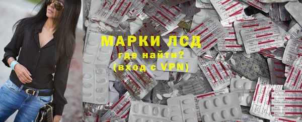 дживик Инта