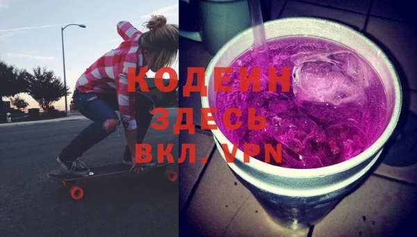 дживик Инта