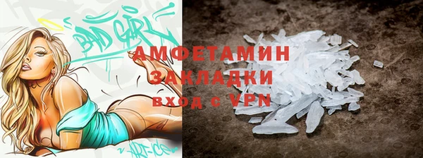 дживик Инта