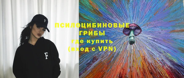 СК Инсар