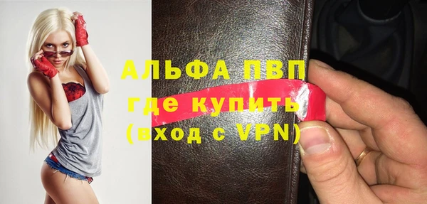 дживик Инта