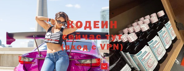 дживик Инта