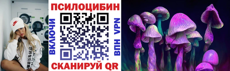 Псилоцибиновые грибы Psilocybe  Купить  Калуга 
